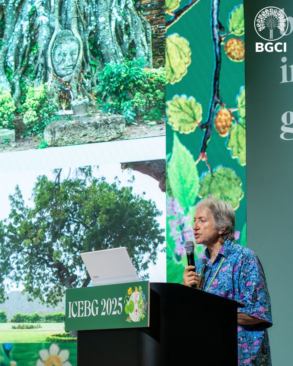 bgci's tweet image. What an incredible week in Seoul! 🌿 
Over 1,600 participants from 51 countries joined the #11ICEBG for inspiring talks, workshops, excursions &amp;amp; more. 

Huge thanks to all who came - and to KNA for their flawless hosting and warm hospitality!  

#BotanicEducation