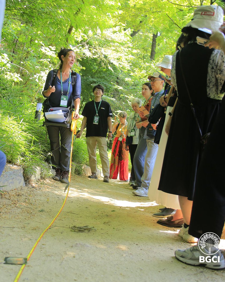 bgci's tweet image. What an incredible week in Seoul! 🌿 
Over 1,600 participants from 51 countries joined the #11ICEBG for inspiring talks, workshops, excursions &amp;amp; more. 

Huge thanks to all who came - and to KNA for their flawless hosting and warm hospitality!  

#BotanicEducation