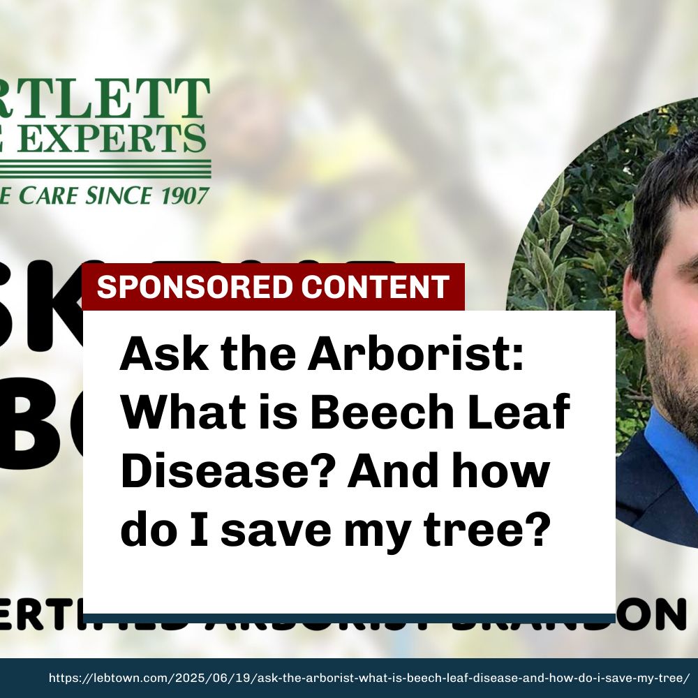Over the last few years, Beech trees have been under attack in our region. However, Bartlett has been successfully battling this disease and is here to help you save your Beech trees in Lebanon and Lancaster counties. lebtown.com/2025/06/19/ask…