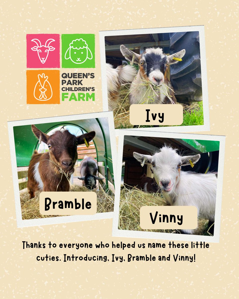 Thank you to everyone who took part in the pygmy goat naming competition at Queen's Park Farm —  we’re thrilled to announce the winning names!

Ivy, Bramble and Vinny!

Be sure to stop by and say hello next time you're at the park.

#QueensParkFarm