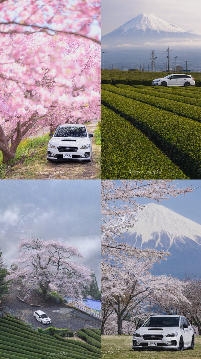 #2025年自分が選ぶ今年上半期の4枚

～レヴォーグ編～
春先の写真はお気に入りが多い🌸そしてクルマも縦構図ばっかり。。。