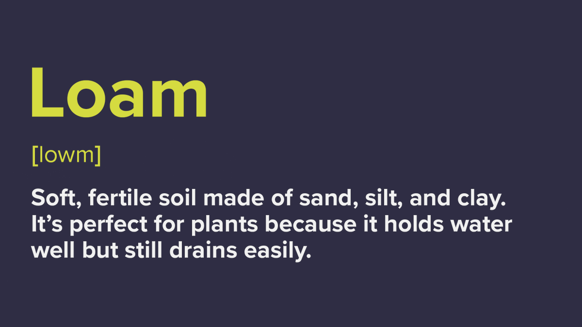 gsc1's tweet photo. #ScienceWordOfTheWeek
Loam - Soft, fertile soil made of sand, silt and clay. It's perfect for plants because it holds water well but still drains easily. https://t.co/Dwcbh0gAbk