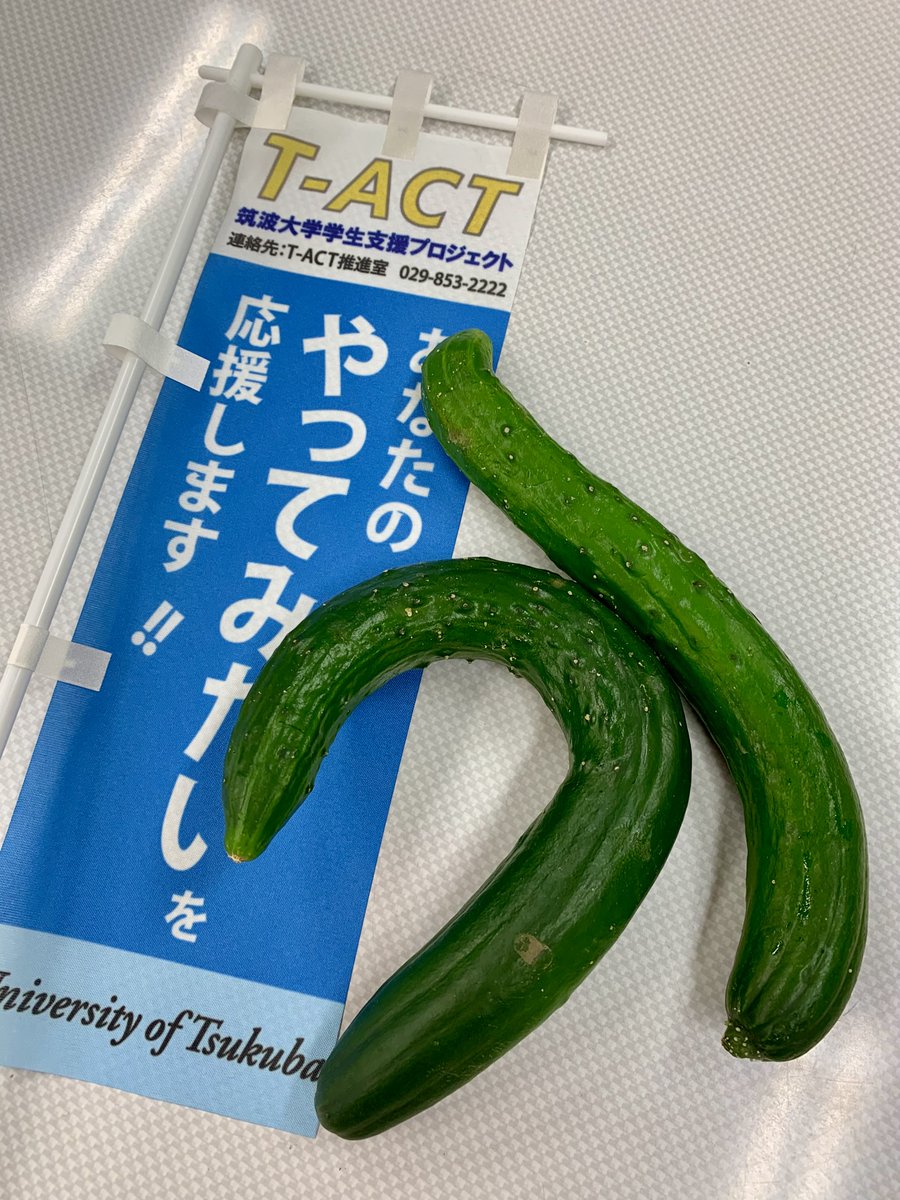 【開催案内】T-ACT「Sustainability Week 2025」
1週間にわたって持続可能な環境に向けた取り組みを紹介したりイベントを開催しています。

・今日は石の広場でフリーマーケットを開催しました。
・最終日の6/22（日）10:00～には散歩しながらゴミ拾いをします。

・詳細は↓
t-act.tsukuba.ac.jp/project/view/?…