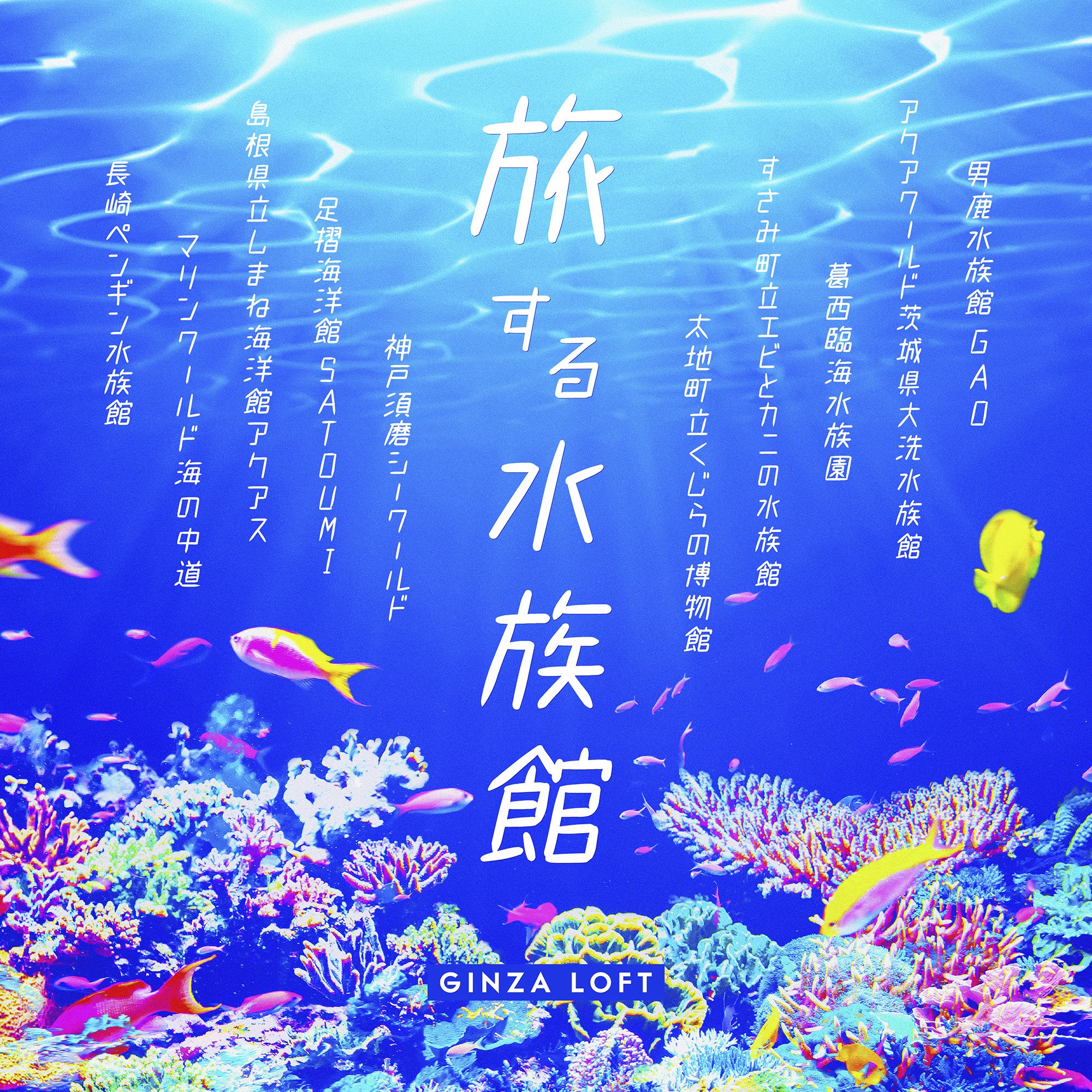 minaco sakamoto ひとふでがき作家 (@minaco_sakamoto) / X