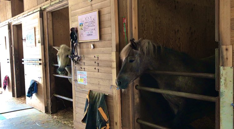 けろ💎🐴🌻 tweet media