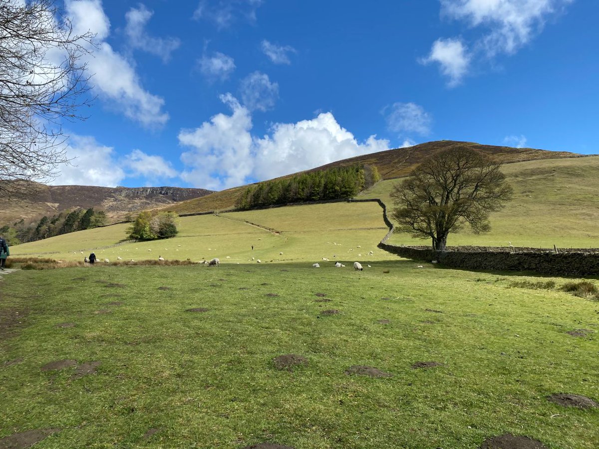 Last chance to book onto the conference! Get your ticket now: ow.ly/H7mY50Wc9Wq

Don't forget about the UDF BondBryan:Fairhursts 'Net-Walking' Summer Hike on 11 July. For more details visit: ow.ly/FtSp50Wc9Wn

Thanks to sponsors: Freshwalks and BondBryan:Fairhursts.