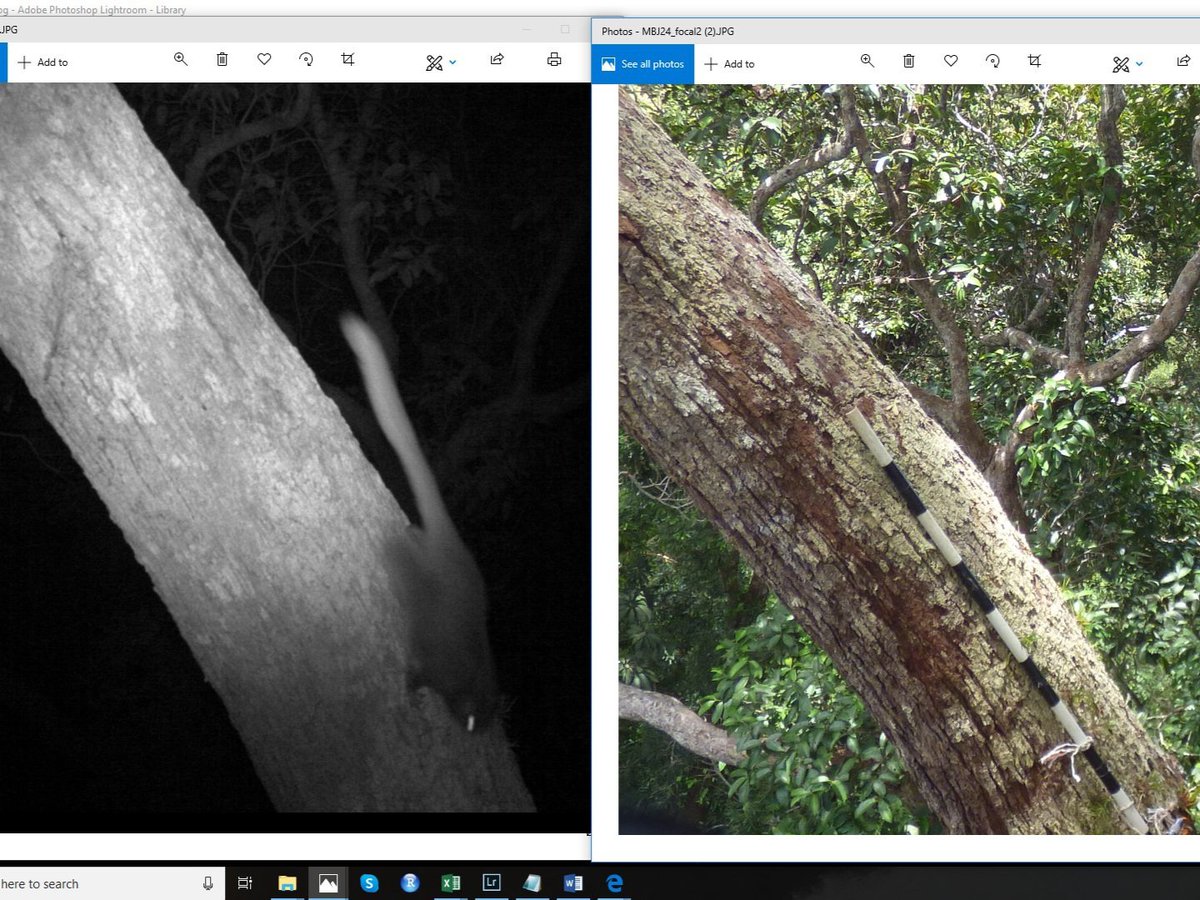 Jessica Haysom, PhD tweet media