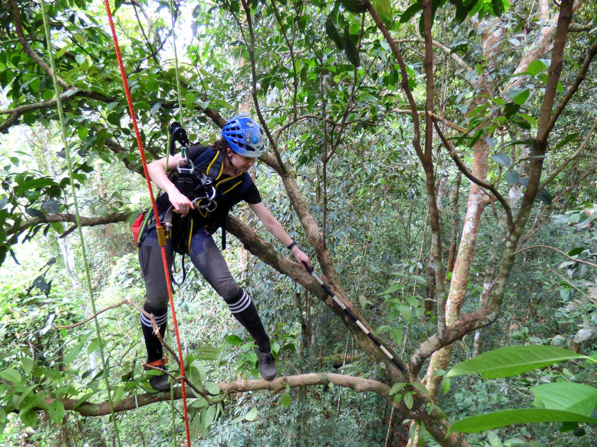 Jessica Haysom, PhD tweet media