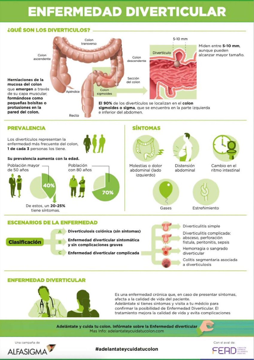 Hospital Cruz Roja Sevilla (@hvicteugenia) on Twitter photo Diverticulitis en el colon: síntomas, causa y tratamientos 👇 #pacientes
hospitalveugenia.com/blog/consejos-…
Infografía gracias a <a href="/sepdigestiva/">Sociedad Española de Patología Digestiva (SEPD)</a> <a href="/saludigestivo/">Fundación Española del Aparato Digestivo (FEAD)</a>
⚠️Su prevalencia aumenta con la edad #Salud Diverticulitis en el colon: síntomas, causa y tratamientos 👇 #pacientes
hospitalveugenia.com/blog/consejos-…
Infografía gracias a <a href="/sepdigestiva/">Sociedad Española de Patología Digestiva (SEPD)</a> <a href="/saludigestivo/">Fundación Española del Aparato Digestivo (FEAD)</a>
⚠️Su prevalencia aumenta con la edad #Salud