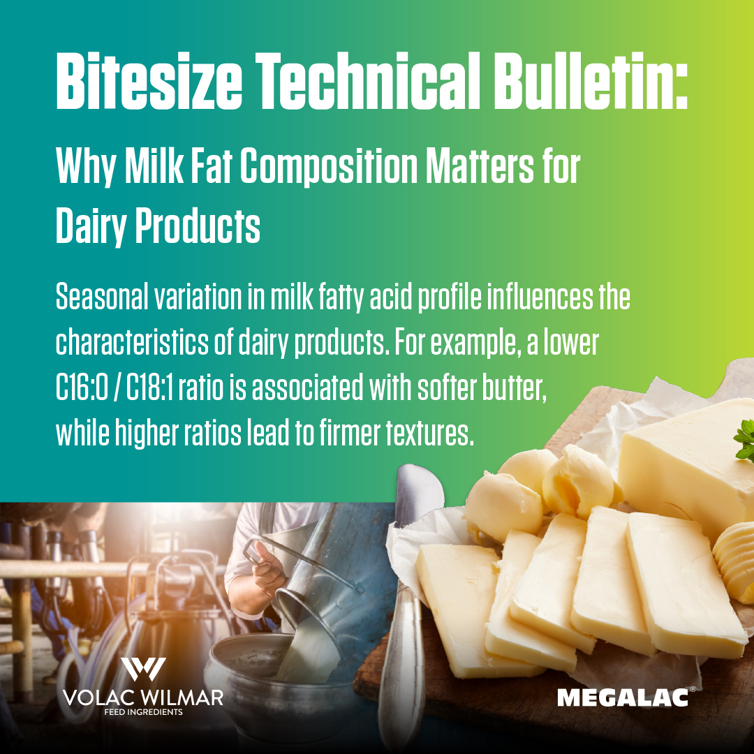 What impact does milk fat composition have on the consistency of dairy products? 🐮

This month's bitesize technical bulletin explores how seasonal variation in milk fatty acid profile affects the quality and consistency of butter. ⤵️

#DairyCowNutrition