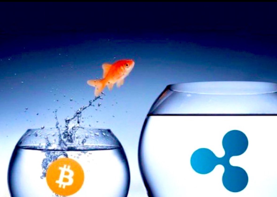 Williams Paticia (@paticia2235) on Twitter photo 