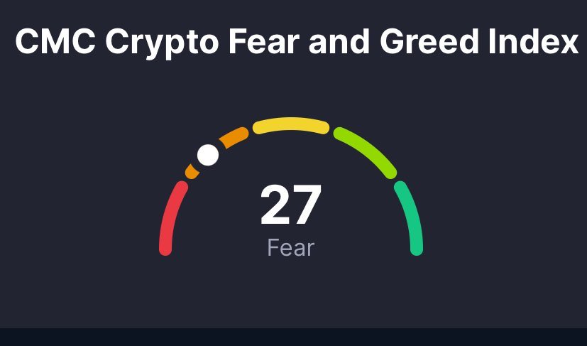 Who is feeling comfy?