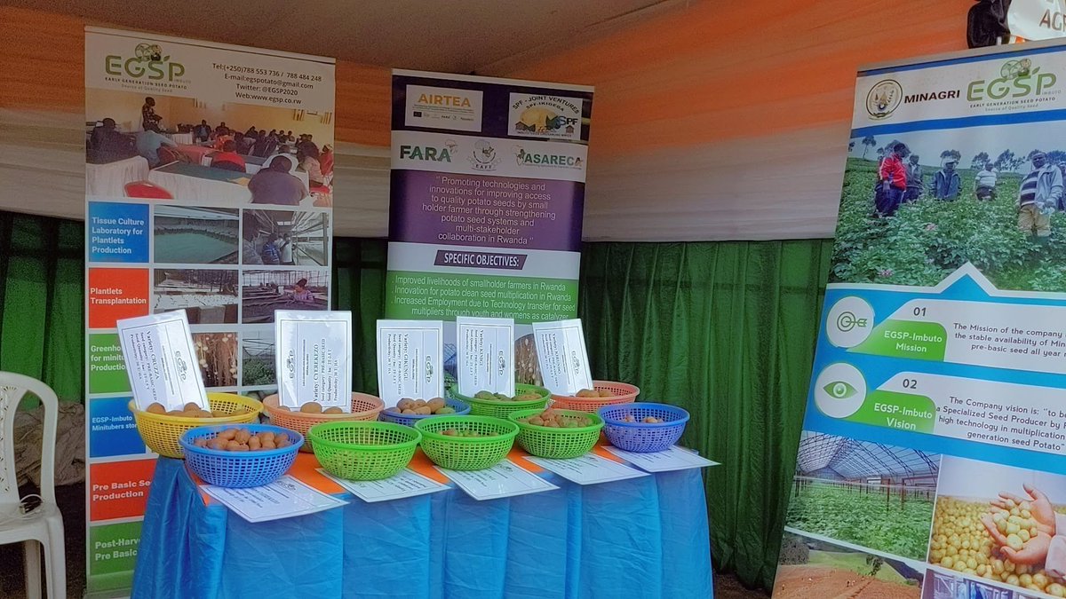 EGSP-IMBUTO tweet media