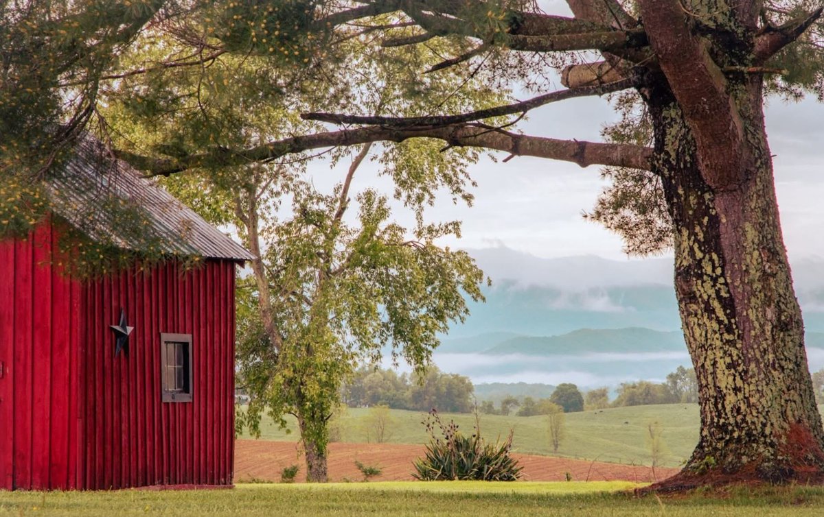 Good Morning, West Virginia! 

📍Monroe County, West Virginia