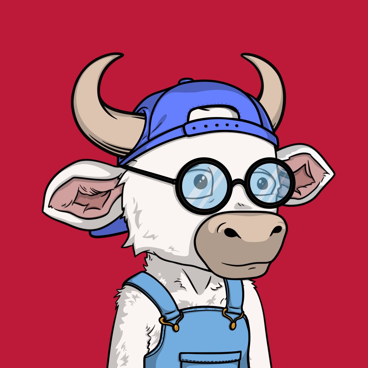 Supra Bulls tweet media