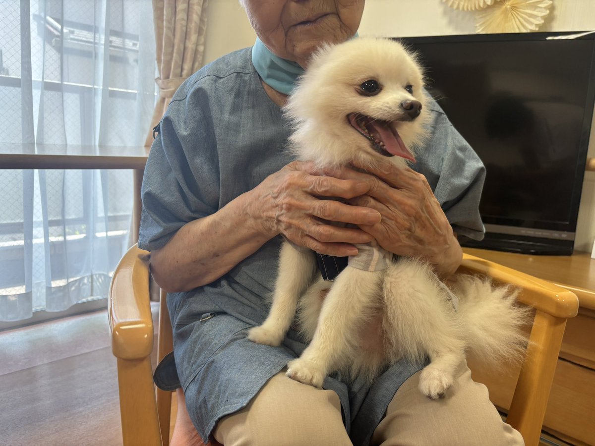 本日もありがとうございました🙇‍♀️
#IMONttt
#セラピードッグ
#福祉