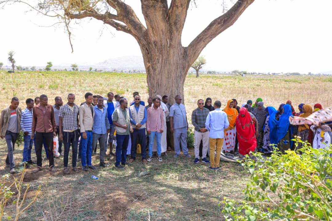 @NZinEthiopia (@nzinethiopia) on Twitter photo Last week, our team visited Embassy-funded projects in Somali and Tigray Region, documenting impactful changes for small-scale farmers and students. Sincere thanks to Faafan Community and <a href="/TaakuloSomali/">TAAKULO SOMALI COMMUNITY (TAAKULO)</a> for their warm hospitality. Last week, our team visited Embassy-funded projects in Somali and Tigray Region, documenting impactful changes for small-scale farmers and students. Sincere thanks to Faafan Community and <a href="/TaakuloSomali/">TAAKULO SOMALI COMMUNITY (TAAKULO)</a> for their warm hospitality.
