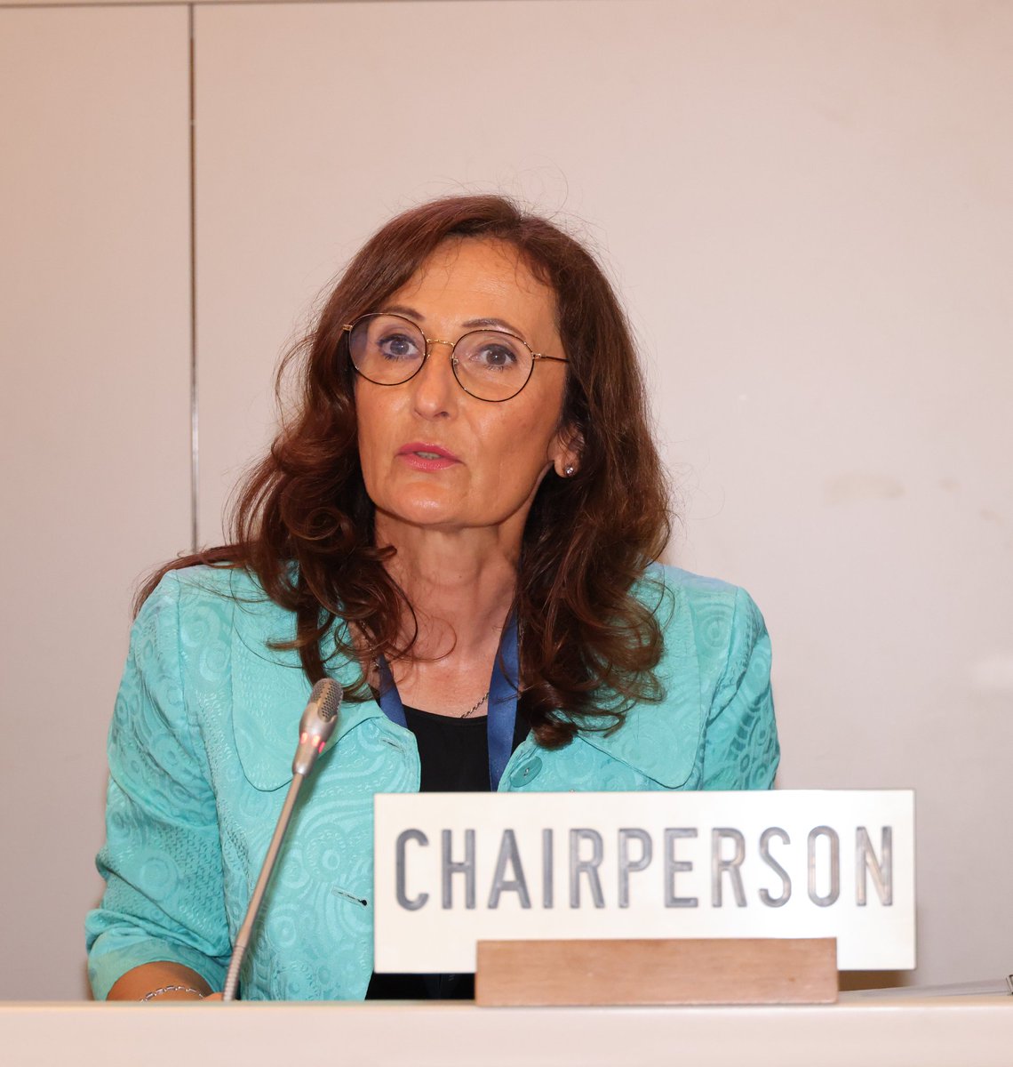 Today at the WTO: Resumption of the Working Party on the Accession of Bosnia and Herzegovina 🇧🇦 after a seven-year hiatus. Hamdo Tinjak, Secretary of the Ministry of Foreign Trade and Economic Relations, leads the Bosnian delegation in Geneva. bit.ly/4jUfBxb