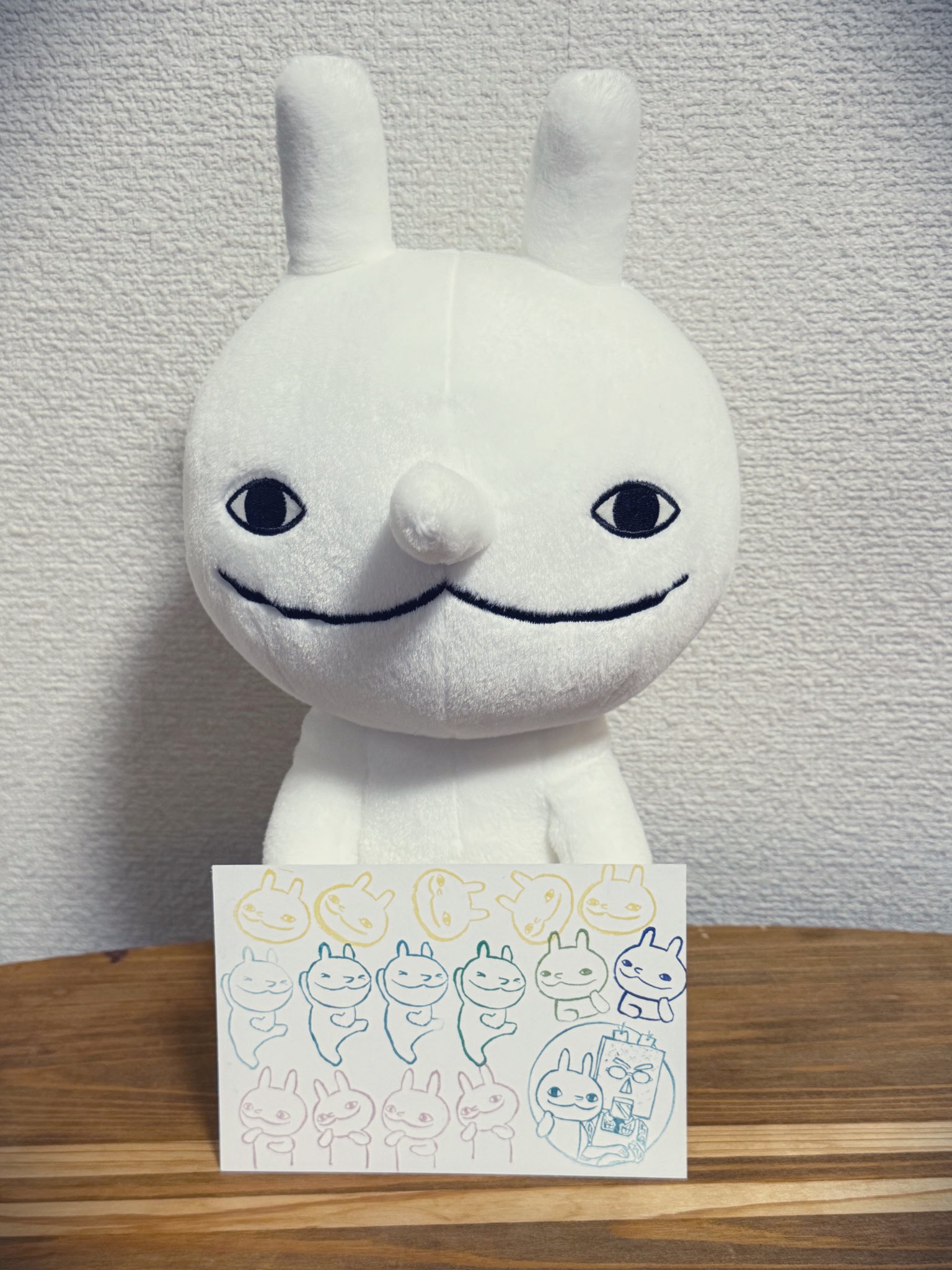 鼻兎(はなうさぎ) ぬいぐるみ箱付き Hana-Usagi 鼻兎(はなうさぎ