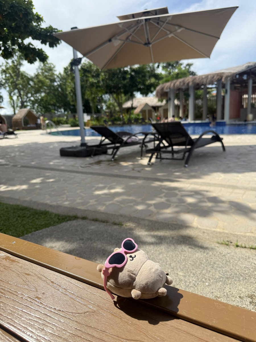 🐻‍❄️ → 🐻‍☀️