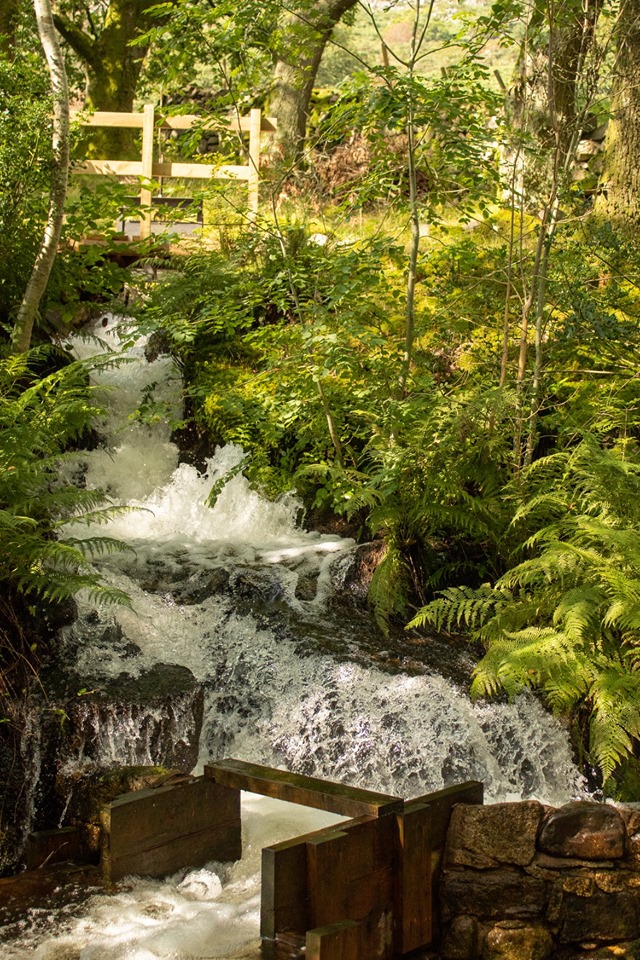 If you're looking for somewhere relaxing to go, you've found the right place.
eskdalemill.co.uk/visit
#mindful #positiveheadspace #therapeutic #multisensory #restorative #waterpower #watermill #eskdale #cumbria #lakedistrict #eskdalemill #HiddenGems #placetobe