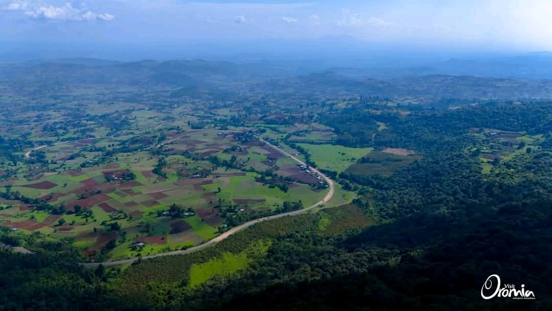 VisitOromia's tweet photo. Just 7 km outside of Gedo town, we came across Gurraa Forest. A stunning mountain covered in lush forest and surrounded by beautiful landscapes.
📌 Guurraa Forest
Oromia Forest and Wildlife Enterprise
Ethiopia Land of Origins
#visitOromia #VisitEthiopia #forest #WesternRoute https://t.co/BetW4SltZZ