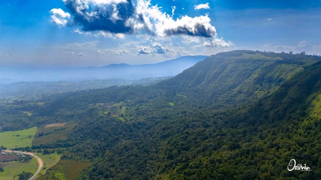VisitOromia's tweet photo. Just 7 km outside of Gedo town, we came across Gurraa Forest. A stunning mountain covered in lush forest and surrounded by beautiful landscapes.
📌 Guurraa Forest
Oromia Forest and Wildlife Enterprise
Ethiopia Land of Origins
#visitOromia #VisitEthiopia #forest #WesternRoute https://t.co/BetW4SltZZ