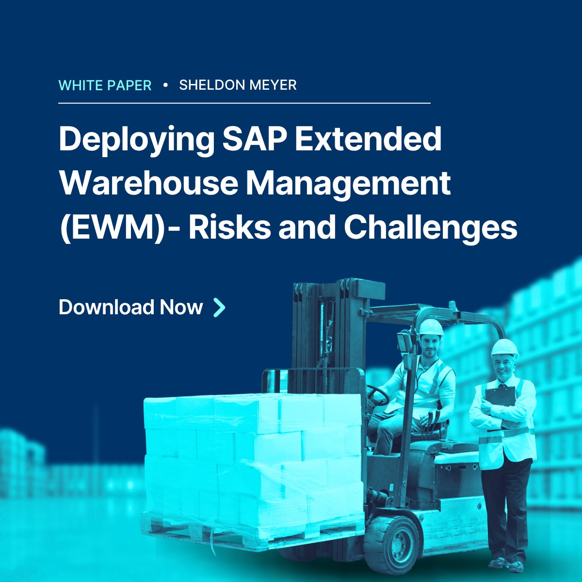 Deploying SAP EWM? 🚛

In this white paper, Sheldon breaks down the key risks, leadership strategies, and how ArchLynk ensures smooth implementation.

📘 Download now: [hubs.li/Q03sQSV60]

#SAP #EWM #WarehouseManagement #SupplyChain #ArchLynk