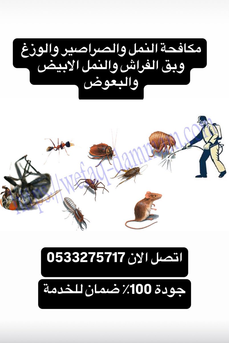 ZtF9i's tweet photo. شركة مكافحة حشرات بالدمام
شركة مكافحة حشرات بالخبر
شركة مكافحة حشرات بالقطيف
شركة مكافحة حشرات بالجبيل
شركة مكافحة حشرات بالظهران
رش مبيدات
مكافحة الصراصير
مكافحة البق
مكافحة النمل الابيض
مكافحة الوزغ
رش الدفان
بسيهات بصفوي بعنك https://t.co/lVfaBZmwSa