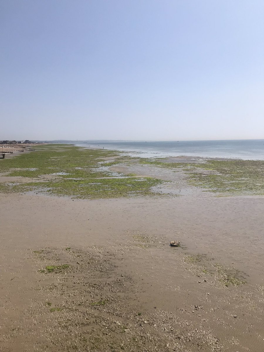 Estella Rua (@estella_rua) on Twitter photo Another gorgeous day here in West Sussex. Nearly done with the summer issue of <a href="/banglemag/">Bangle Magazine</a> - Iāve left the last of the formatting with my deputy editor (the long-suffering) & with any luck the flipbook will be out next week! Another gorgeous day here in West Sussex. Nearly done with the summer issue of <a href="/banglemag/">Bangle Magazine</a> - Iāve left the last of the formatting with my deputy editor (the long-suffering) & with any luck the flipbook will be out next week!