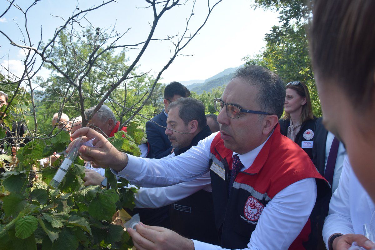 BAKAN YARDIMCIMIZ KARADENİZ TARIMSAL ARAŞTIRMA ENSTİTÜ MÜDÜRLÜĞÜMÜZÜ ZİYARET ETTİ

Tarım ve Orman Bakan Yardımcısı Prof. Dr. Ahmet GÜMEN, Genel Müdür Dr. Mustafa Altuğ ATALAY ve Gıda ve Kontrol Genel Müdürü Dr. Ersin DİLBER Karadeniz Tarımsal Araştırma Enstitüsü Müdürlüğünü