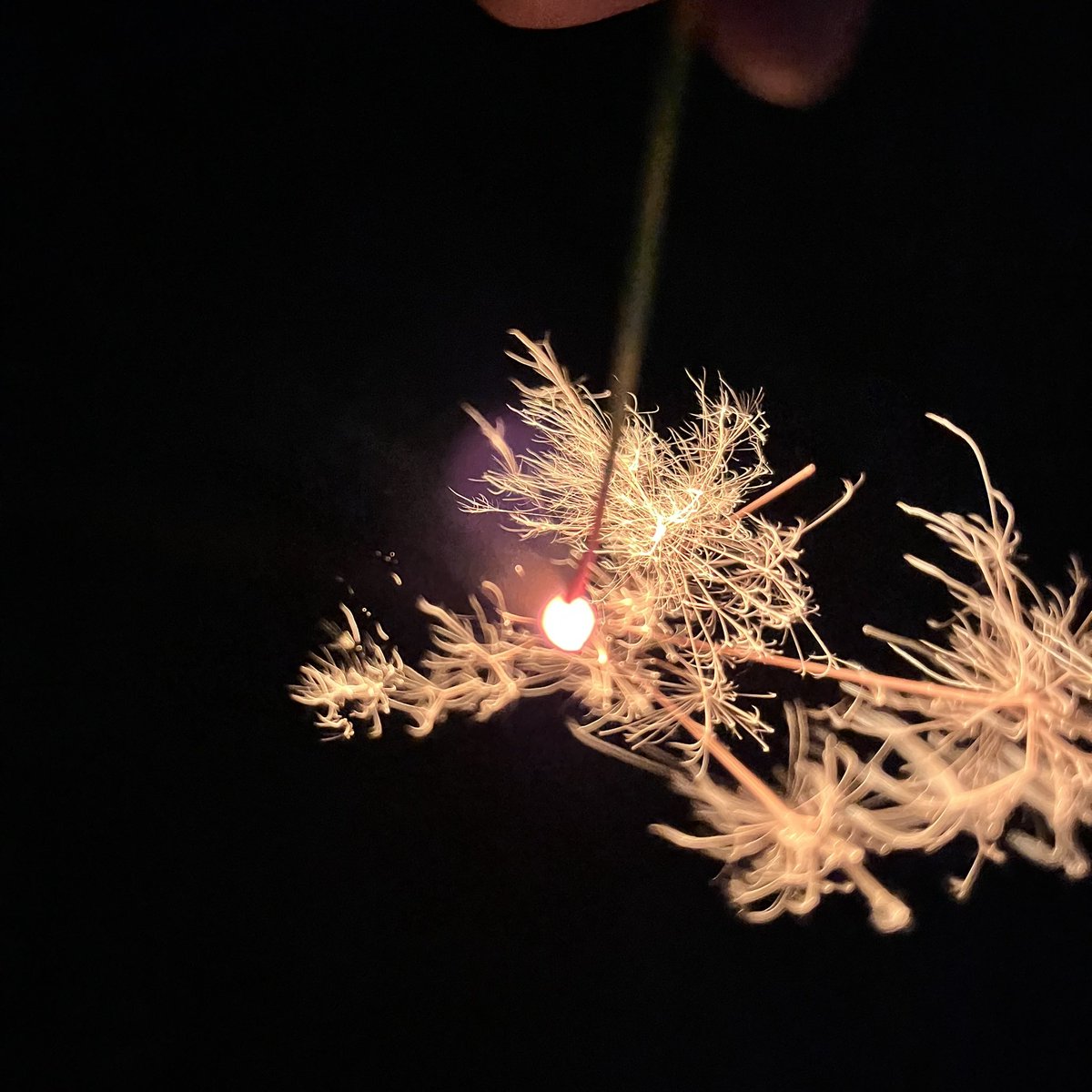 _kyn_xx's tweet photo. 私、線香花火 撮る天才です。

#花火 #線香花火 https://t.co/Zcwi1K53tg