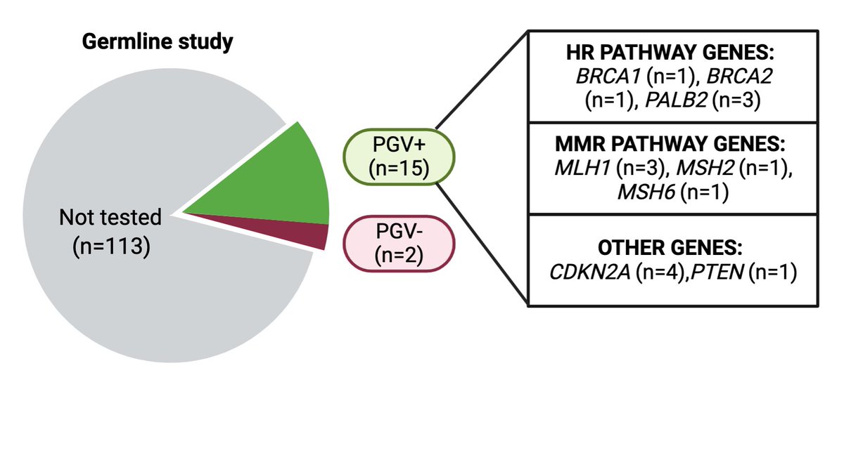 Despite indication for germline testing, only 13% (17/130) of patients with LC from PGV+ families underwent testing with 86.7% PGV positivity🚩