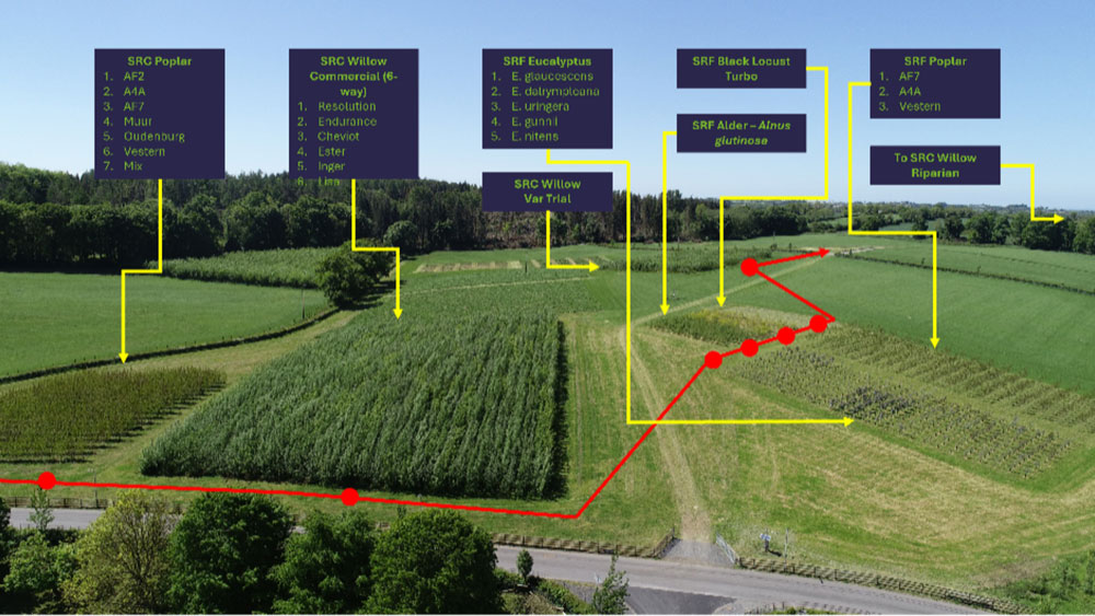 Biomass Connect (@biomassconnect) on Twitter photo 🌿 Great to welcome the Royal Forestry Society’s NI Division to the BiomassConnect site <a href="/AFBI_NI/">AFBI</a> Hillsborough!
Despite a torrential downpour, the tour continued in true forester spirit! 🌧🌱
loom.ly/T7McScg
#BiomassConnect #Forestry #Bioenergy #KnowledgeExchange 🌿 Great to welcome the Royal Forestry Society’s NI Division to the BiomassConnect site <a href="/AFBI_NI/">AFBI</a> Hillsborough!
Despite a torrential downpour, the tour continued in true forester spirit! 🌧🌱
loom.ly/T7McScg
#BiomassConnect #Forestry #Bioenergy #KnowledgeExchange