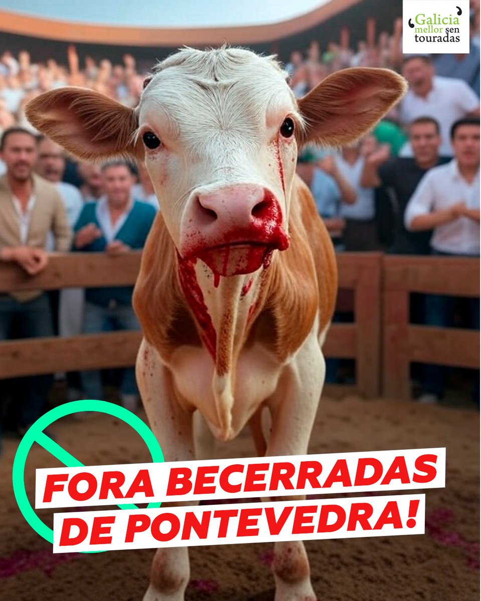 FORA TAUROMAFIA ‼️ 

Hai que presionar a presidente 
<a href="/AlfonsoRuedaGal/">Alfonso Rueda</a> para que non permitan esta atrocidade en #Pontevedra.

É inadmisible que isto sexa legal.