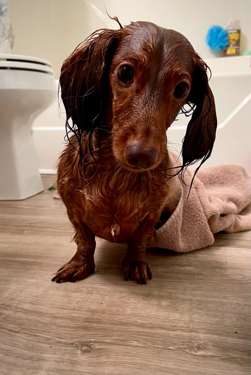 Smell like a cookie ???🍪 I thought she said I was gettin a cookie 😤🛁 Happy  Throwback Thursday 🥰🥰🥰