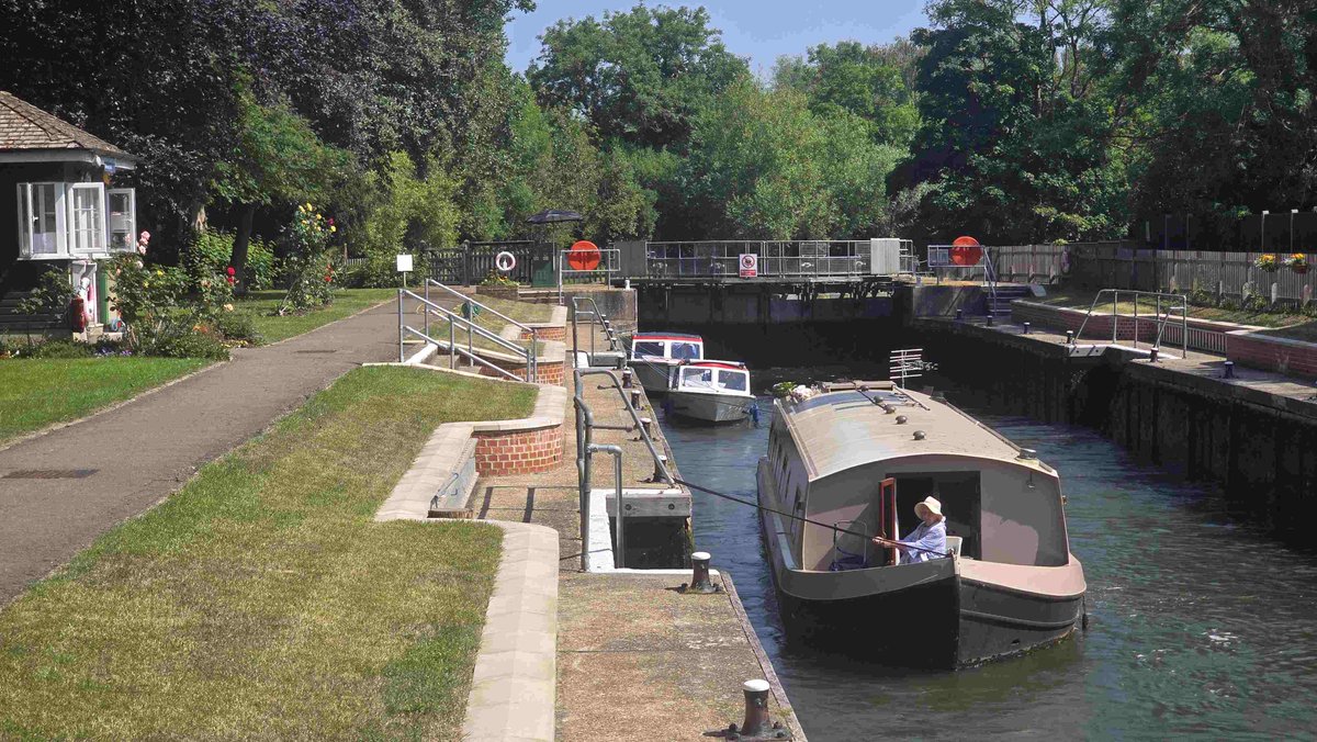 Romney Weir tweet media