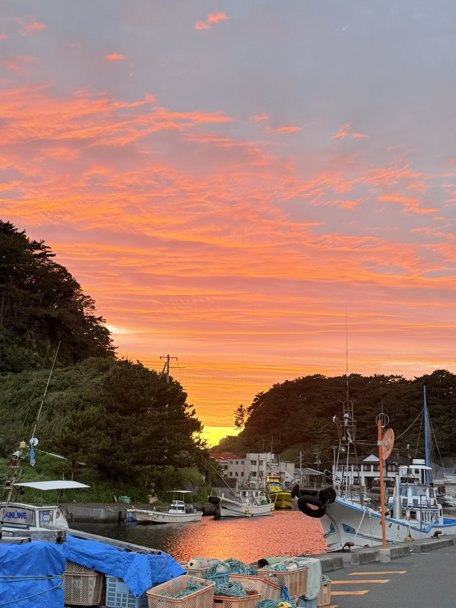けんぶぅ🏝️ tweet media