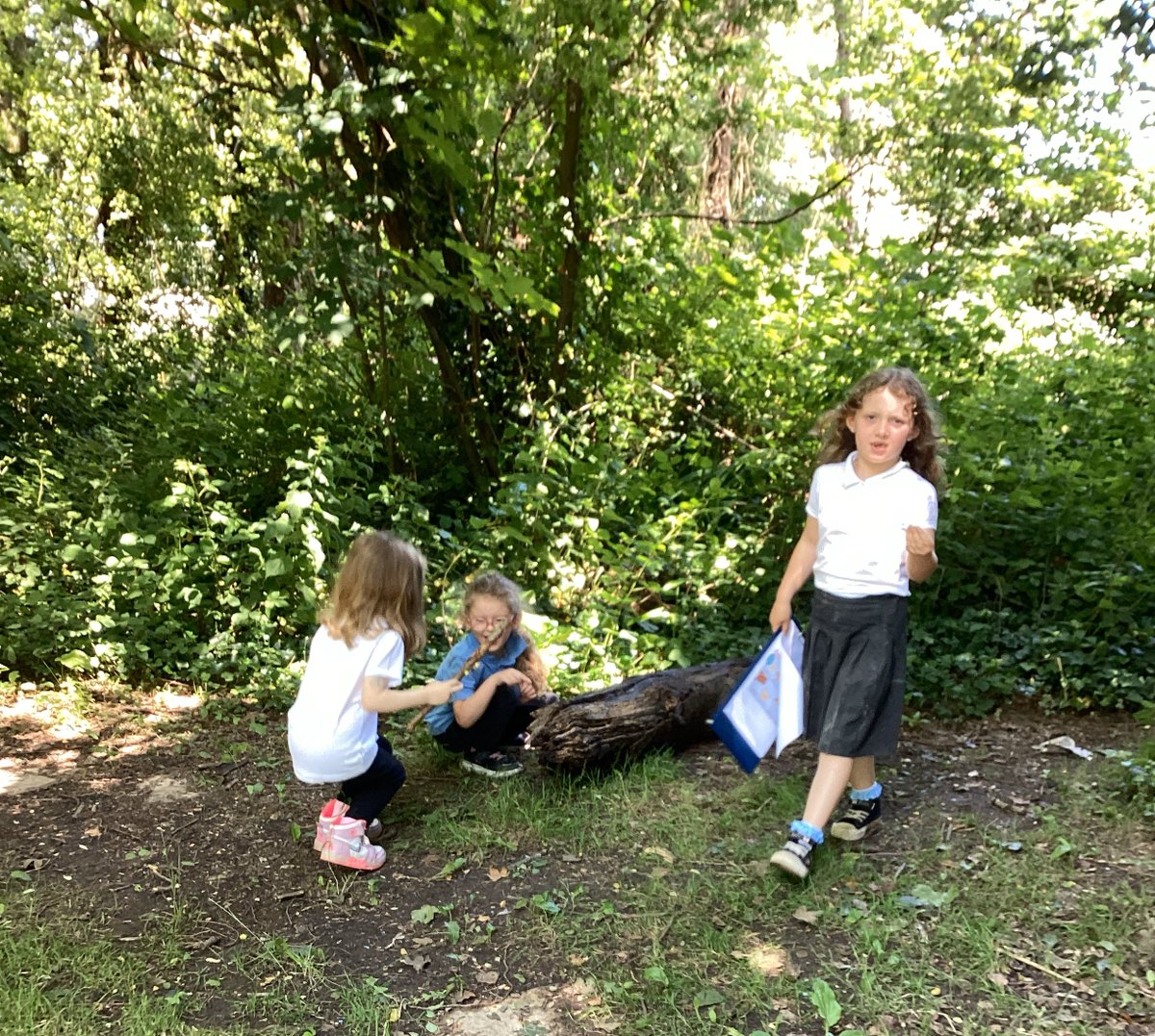 Daffodils creating Journey Sticks #30dayswild