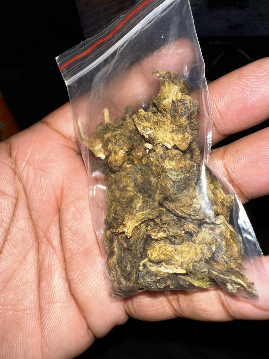 soseiquenadasei tweet media