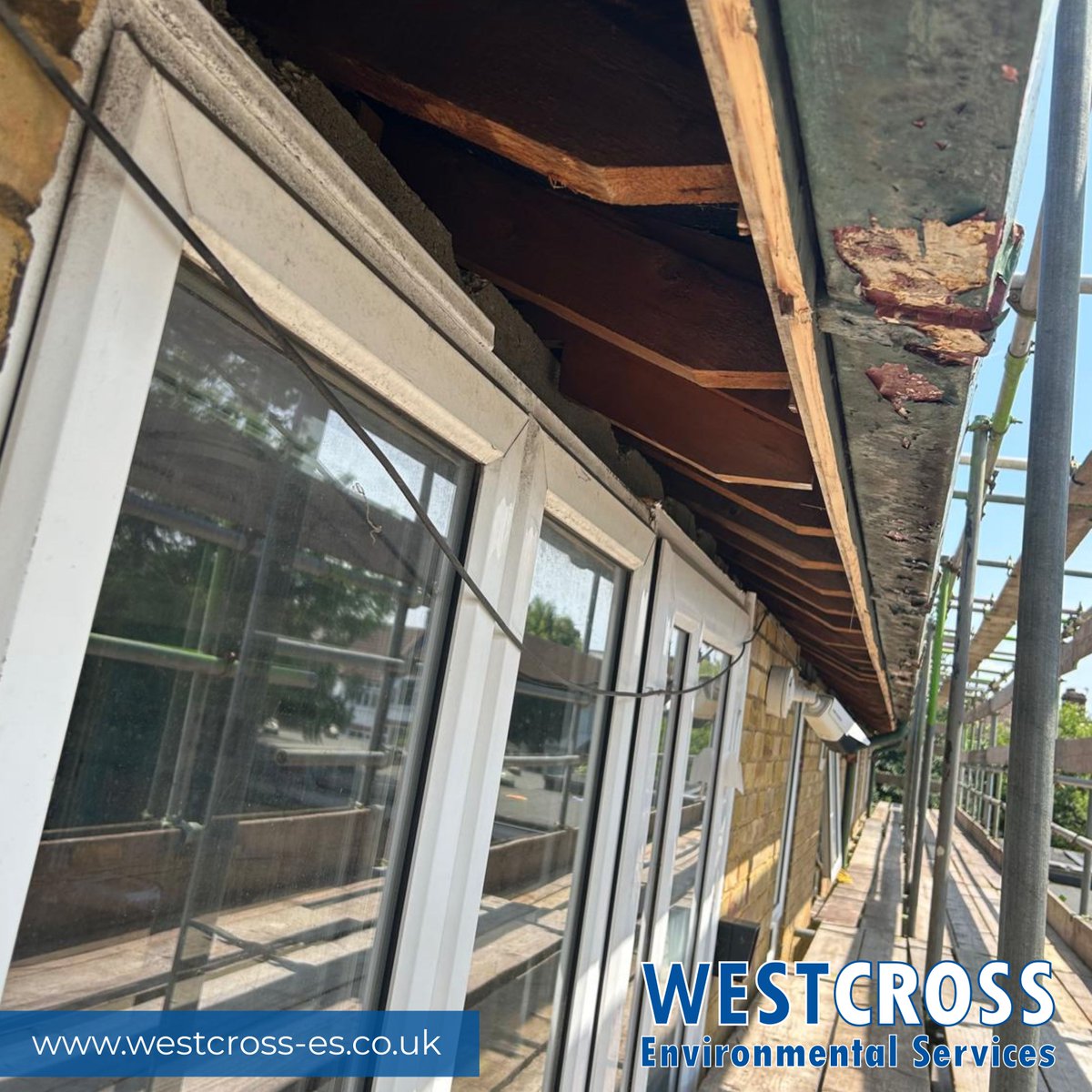 WestCross Environmental Services Ltd tweet media