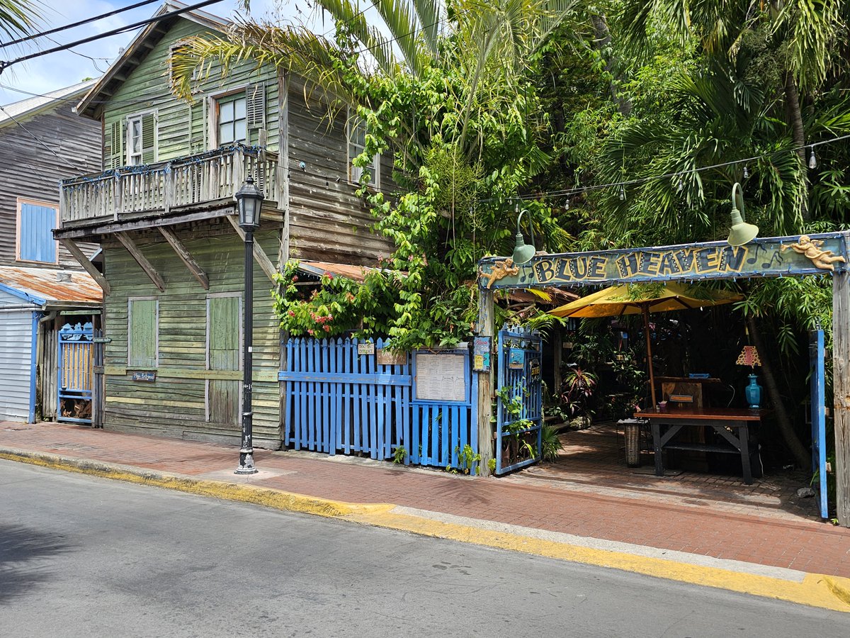 FlaKeysResorts's tweet image. Why This Unassuming Spot Is the Best Breakfast in Key West...

That weathered wood...

Those blue gates...

And that sign that looks like it was made during a beach bonfire...

Yep, this is the spot.

Blue Heaven...

Where roosters are your hosts...

And breakfast feels more like…