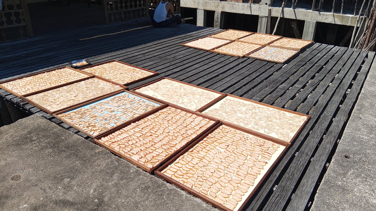 Pangsan Sibungsu Harahap tweet media