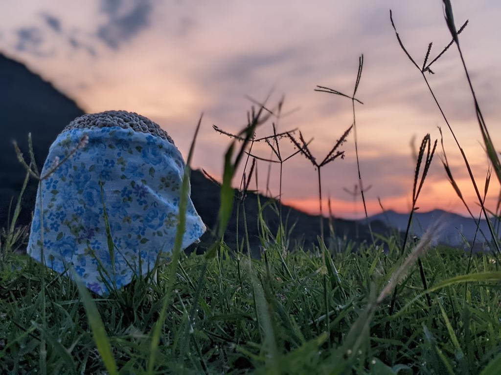 ひよこ豆の水やりをチェックして、冬に食べる一本ネギの赤ちゃんを見回り、夕暮れに黄昏れて、今日のターンを終了するアズぬさん