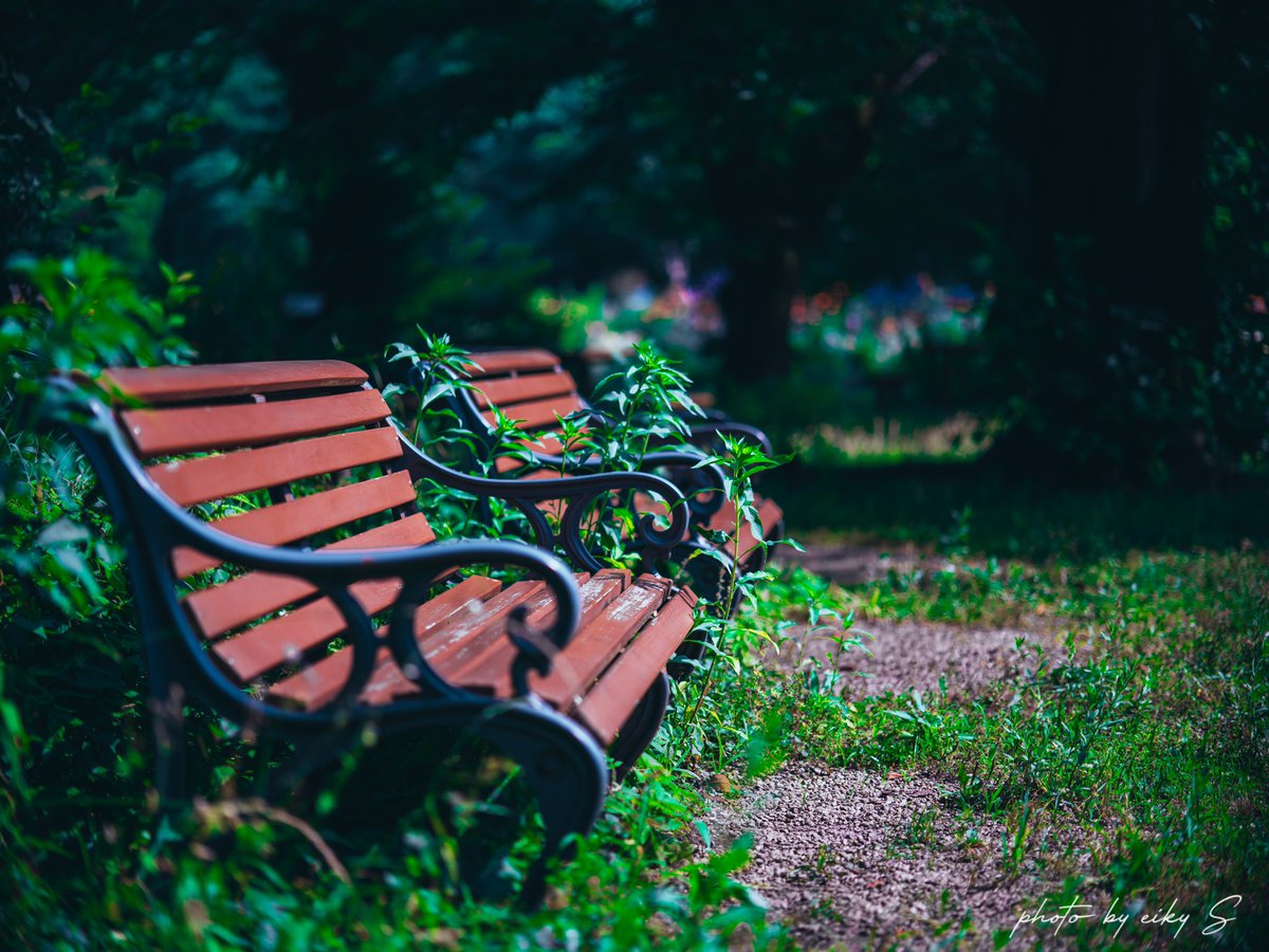 夏です..    か？
