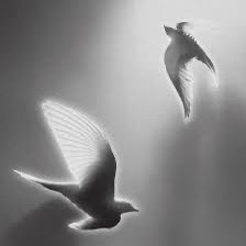 LISMA UNPAS tweet media