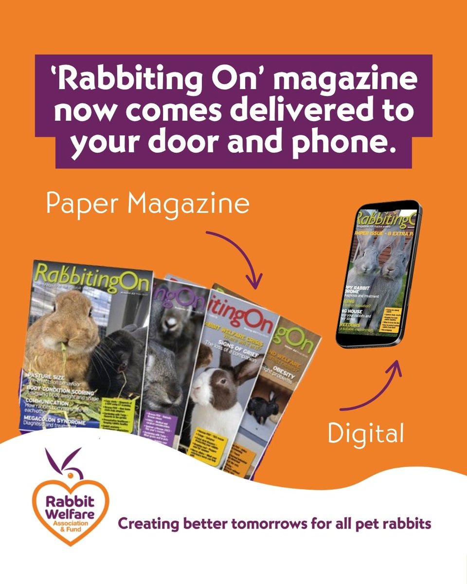 RabbitRWAF's tweet image. Become a member of RWAF for just £24 a year to receive:
- A printed copy of our quarterly magazine ‘Rabbiting On’
- Access to our back catalogue in digital format
- Our comprehensive care guide, On the Hop.
-and more!
rabbitwelfare.co.uk/join-our-happy…