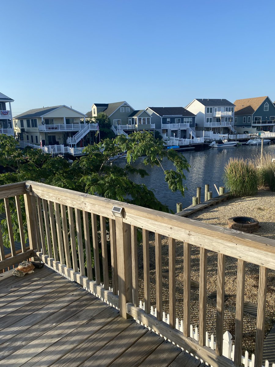 BettyAnn Moriarty tweet media