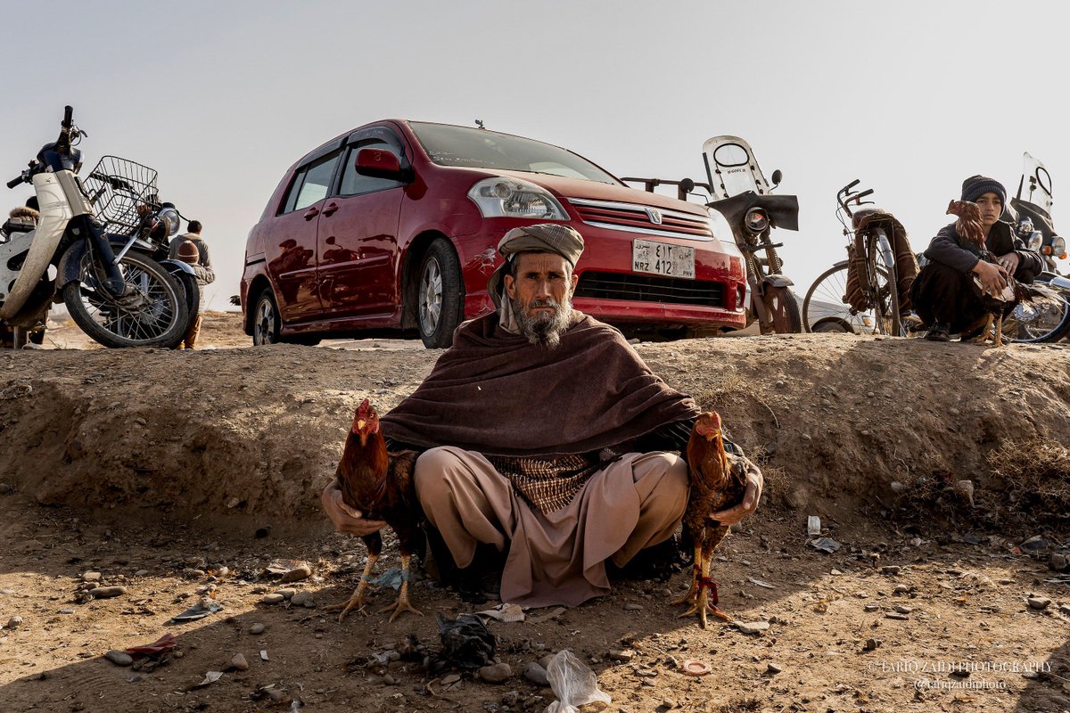 Tariq Zaidi (@tariqzaidiphoto) on Twitter photo A Friday market in Herat. A man waits to sell his two chickens and a boy behind him does the same. Image by <a href="/tariqzaidiphoto/">Tariq Zaidi</a> 2019 #reportage #reportagespotlight #Herat #Afghanistan A Friday market in Herat. A man waits to sell his two chickens and a boy behind him does the same. Image by <a href="/tariqzaidiphoto/">Tariq Zaidi</a> 2019 #reportage #reportagespotlight #Herat #Afghanistan