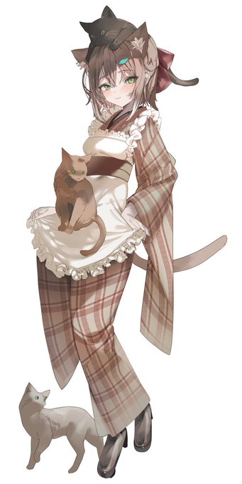 喫茶店コーデたまちゃん #のらねっこあら